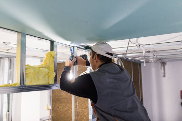 Best Insulation Inspection Services  in Roseto, PA