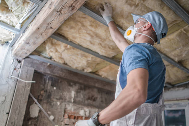 Best Attic Insulation Installation  in Roseto, PA