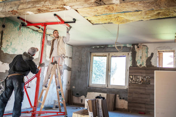 Best Insulation Removal  in Roseto, PA
