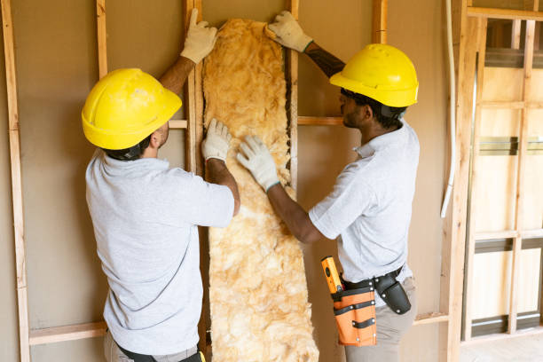 Best Garage Insulation Installation  in Roseto, PA