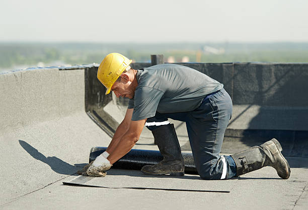 Best Local Insulation Services  in Roseto, PA