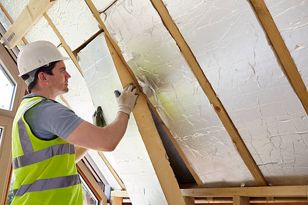 Best Insulation for New Construction  in Roseto, PA