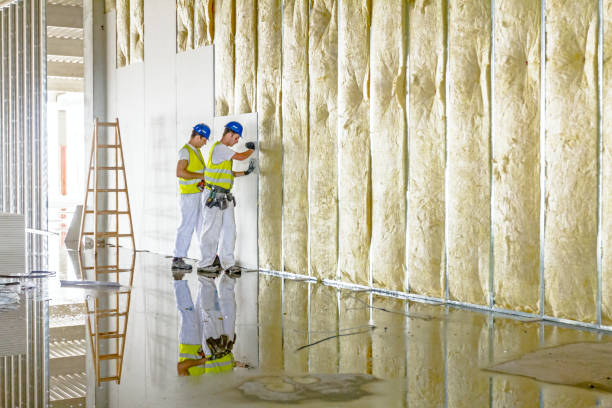 Best Crawl Space Insulation  in Roseto, PA